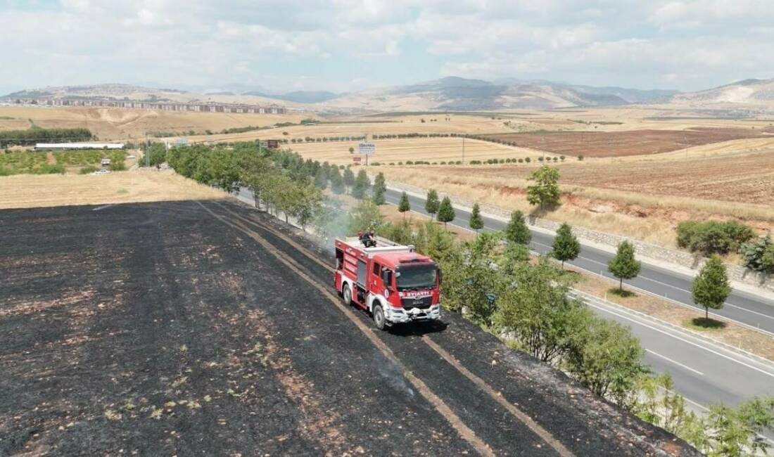Adıyaman'da Beşpınar Mesire Alanı yakınlarında çıkan anız yangını, itfaiye ekiplerinin