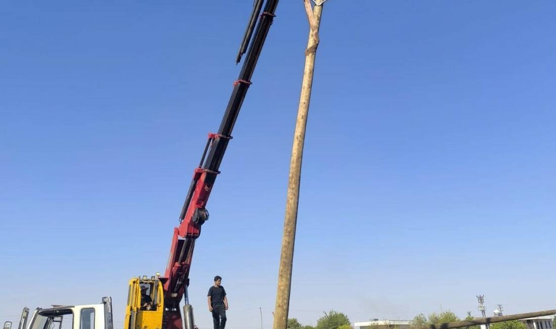Şanlıurfa’da hasat sonrası yakılan anızlar, tarım alanlarının yanı sıra elektrik
