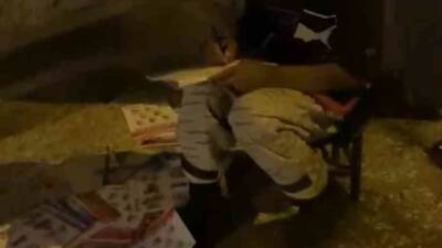 Şanlıurfa’nın Siverek ilçesinde annesiyle birlikte hurda toplayarak aile bütçesine katkı