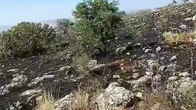 Gaziantep’in Araban ilçesine bağlı kırsal Yaylacık Mahallesi’nde, Antep fıstığı bahçeleri