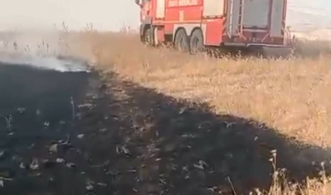 Batman'ın Beşiri ilçesi ile Kıra Dağı arasındaki bölgede çıkan anız