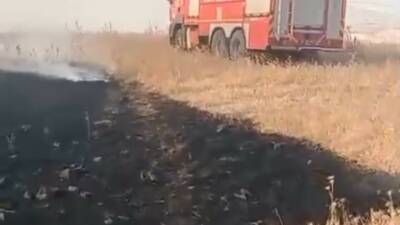 Batman'ın Beşiri ilçesi ile Kıra Dağı arasındaki bölgede çıkan anız