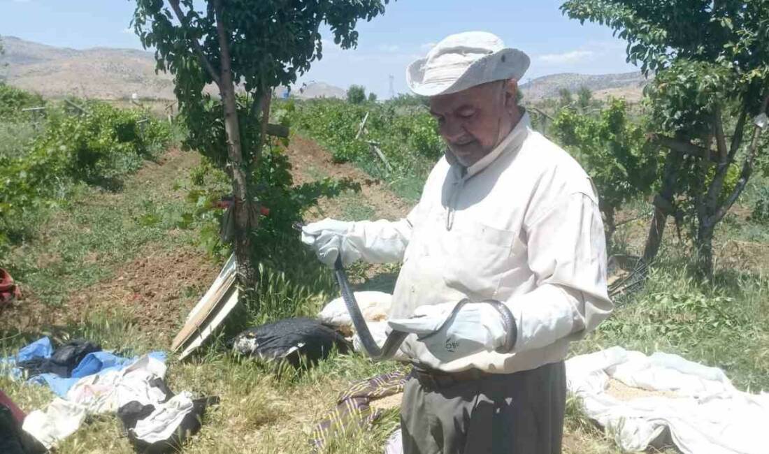 Batman’da doğaya ve canlılara olan hassasiyetiyle tanınan Molla Hüseyin Barlak,