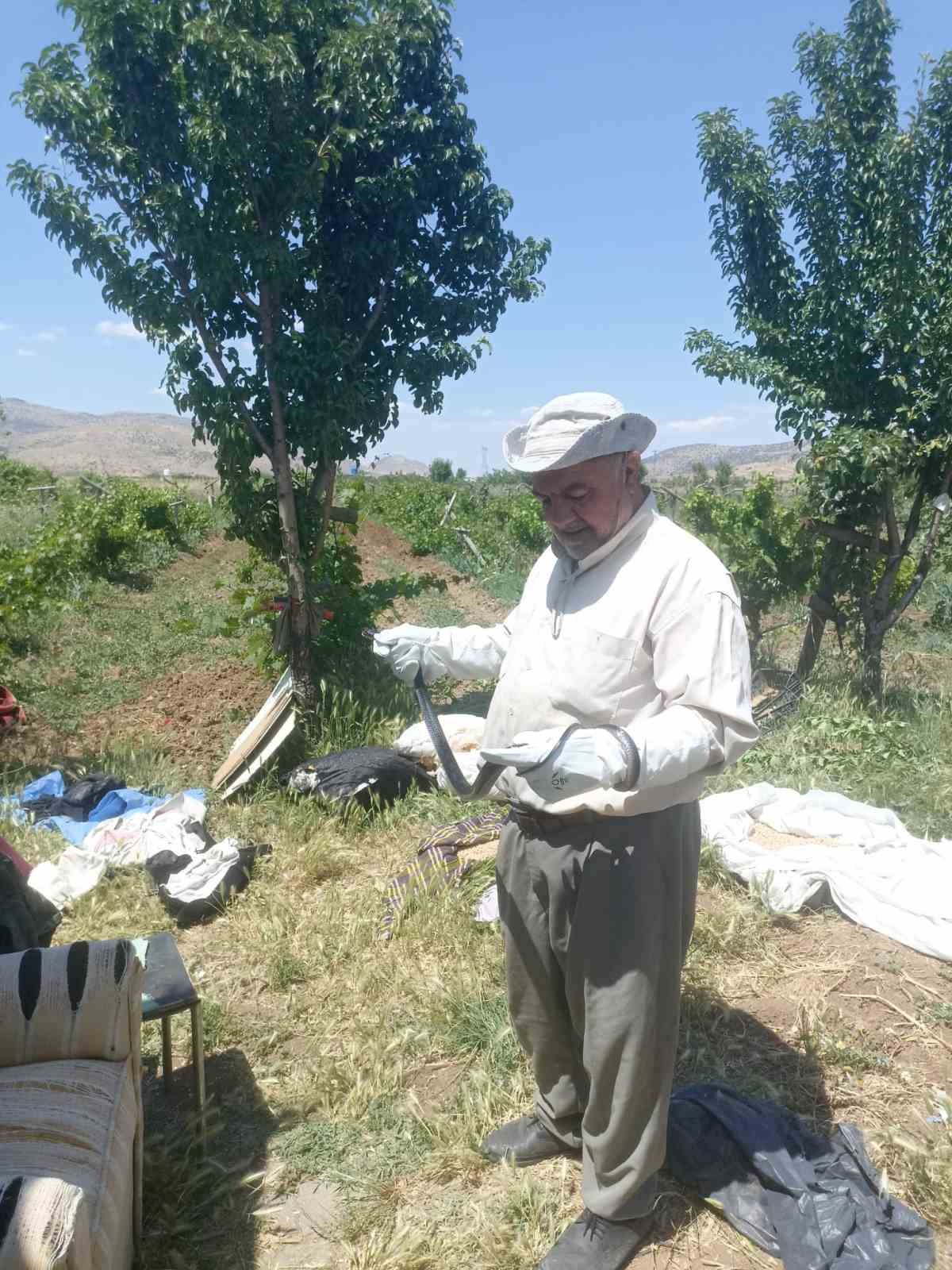 Batman’da doğaya ve canlılara olan hassasiyetiyle tanınan Molla Hüseyin Barlak,