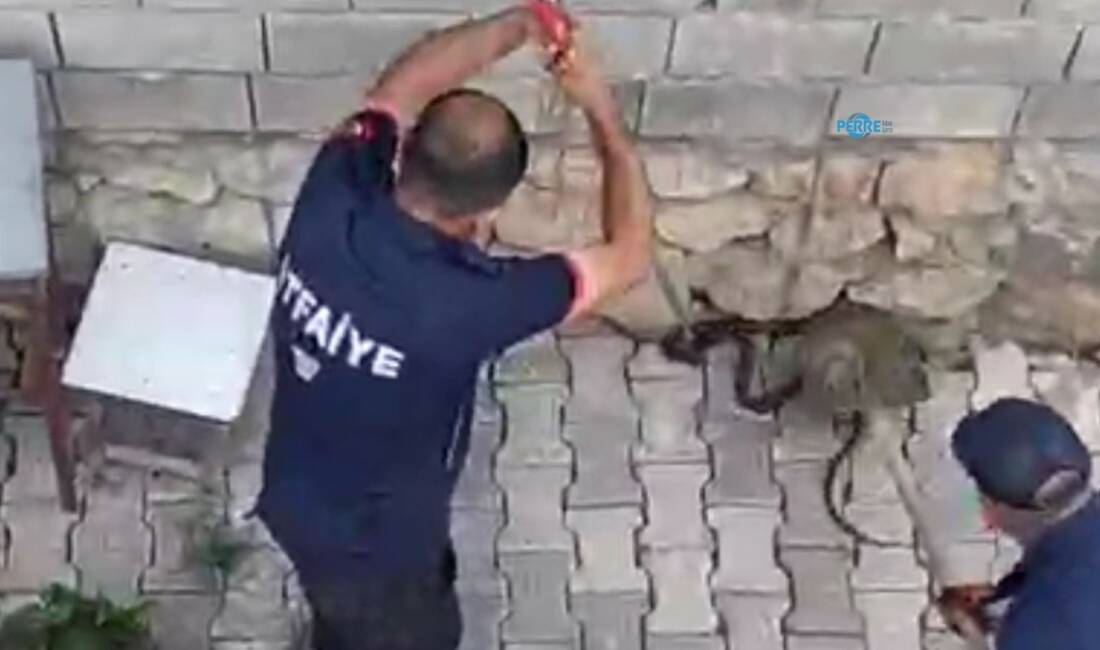 Adıyaman'ın Gölbaşı ilçesine bağlı Ozan Köyü'nde bir eve girmeye çalışan