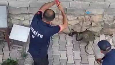 Adıyaman'ın Gölbaşı ilçesine bağlı Ozan Köyü'nde bir eve girmeye çalışan