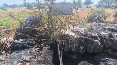 Diyarbakır’ın Dicle ilçesinde çıkan örtü yangını, rüzgarın da etkisi ile