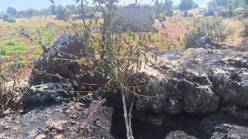 Diyarbakır’ın Dicle ilçesinde çıkan örtü yangını, rüzgarın da etkisi ile
