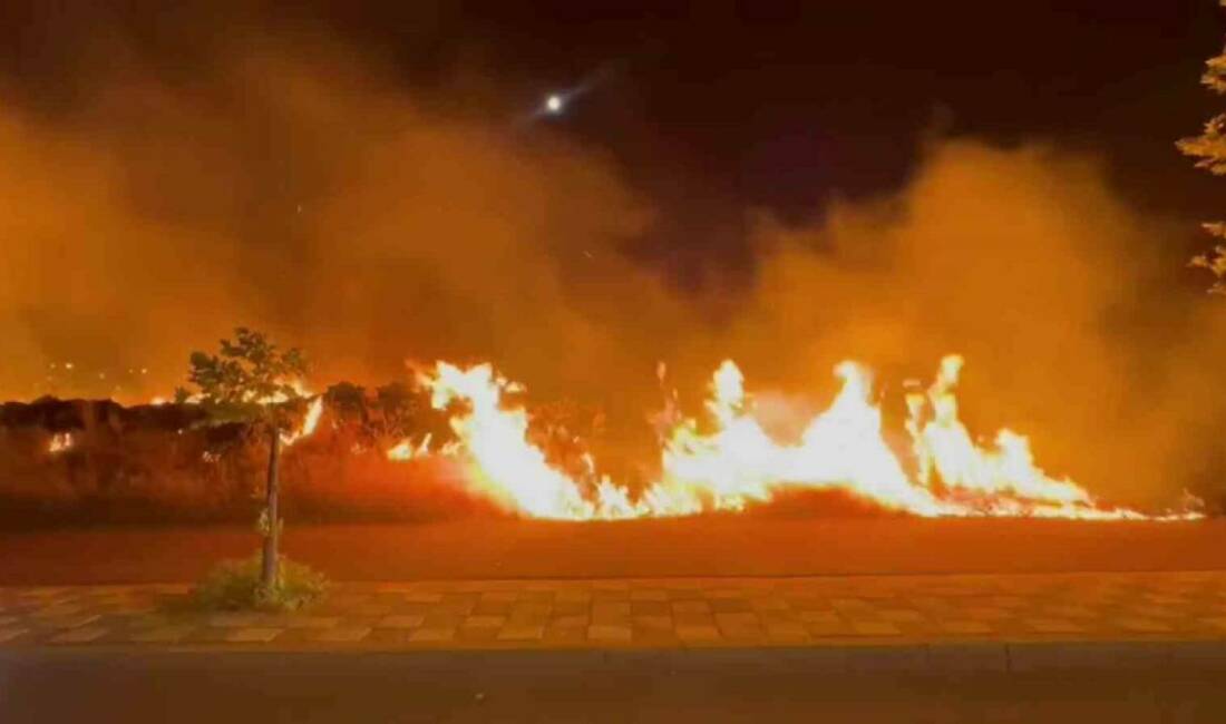Diyarbakır'ın Kayapınar ilçesinde kuru otluk alanda çıkan yangın, rüzgarın etkisiyle