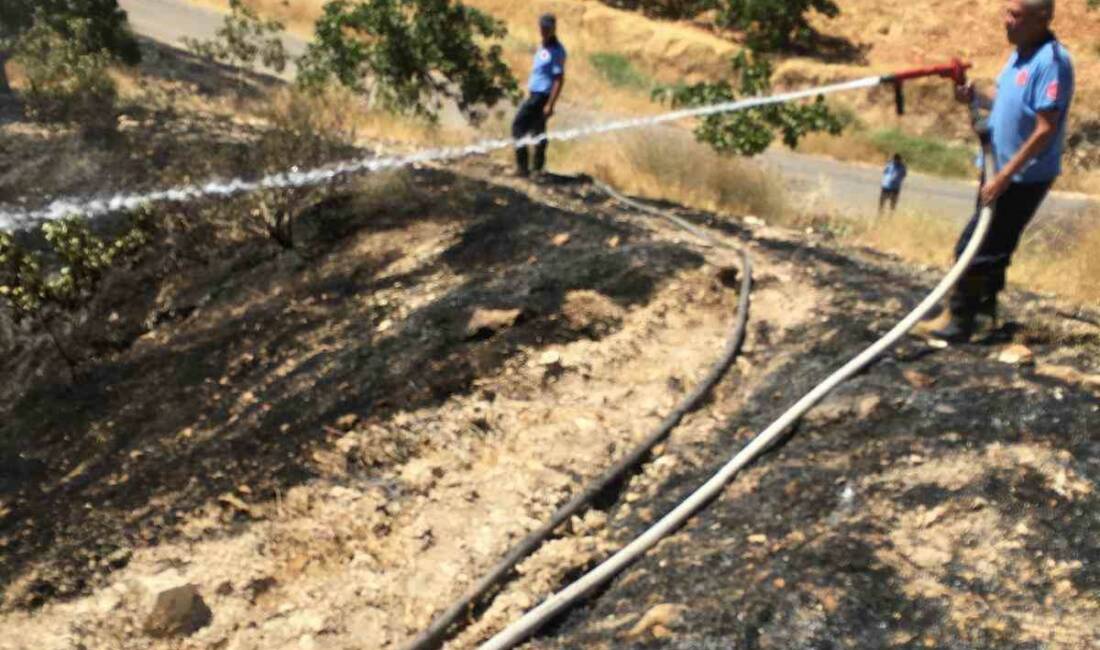 Gaziantep’in Nizip ilçesinde bir şahıs, yangın çıkan fıstık tarlasında ölü