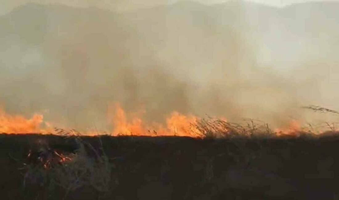 Gaziantep’in İslahiye ilçesinde çevre yolu yakınlarında çıkan ve rüzgarın etkisiyle