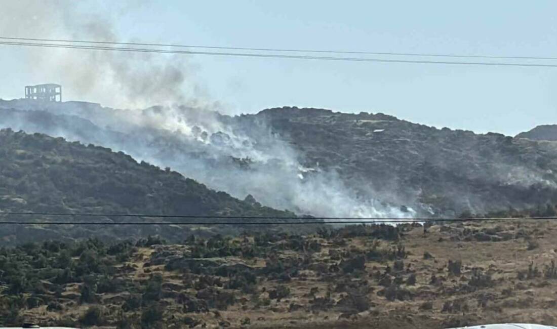 Gaziantep-Nurdağı karayolu Sefaşehir Mahallesi'ndeki makilik alanda çıkan yangın, vatandaşların ihbarının