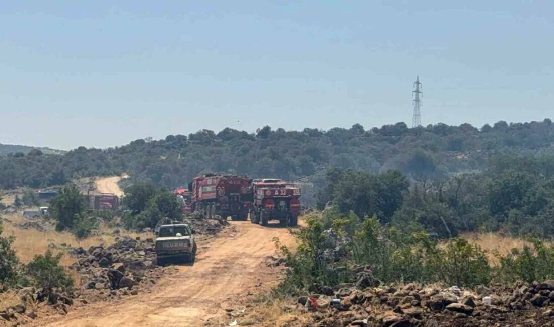 Gaziantep’te orman yangını: Ekiplerin müdahalesi sürüyor Gaziantep’in Şehitkamil ilçesi kırsalında çıkan orman yangınına ekiplerin müdahalesi sürüyor.