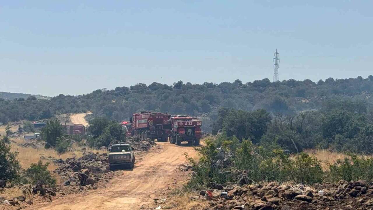 Gaziantep’in Şehitkamil ilçesi kırsalında çıkan orman yangınına ekiplerin müdahalesi sürüyor.