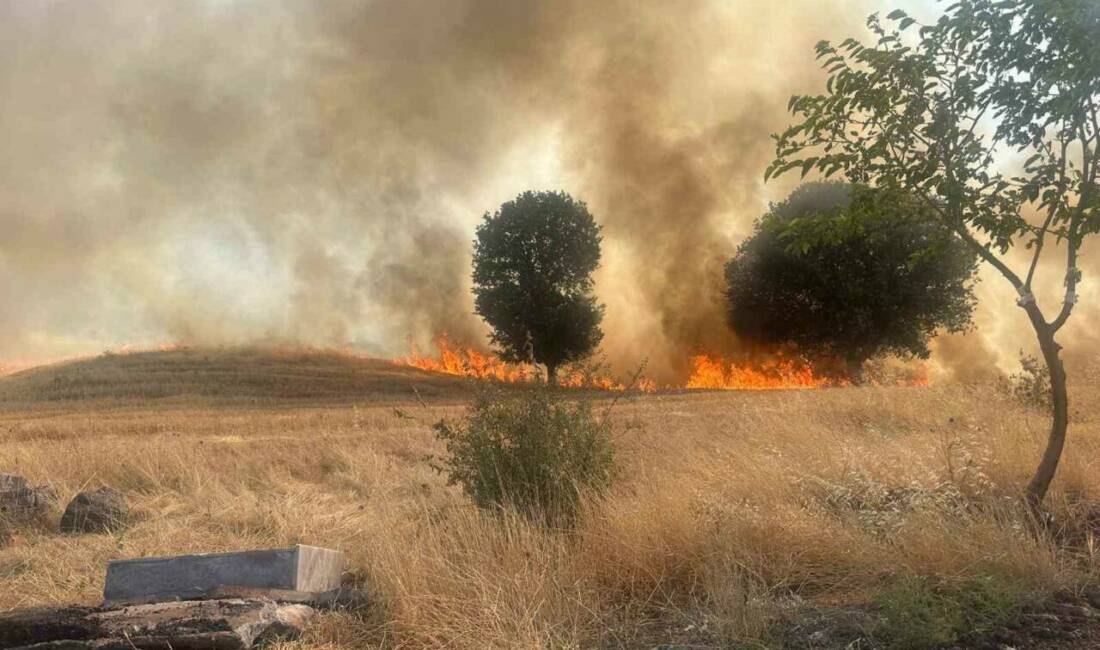 Adıyaman’ın Gölbaşı ilçesinde elektrik trafosunun patlaması sonucu yaklaşık 1 hektarlık
