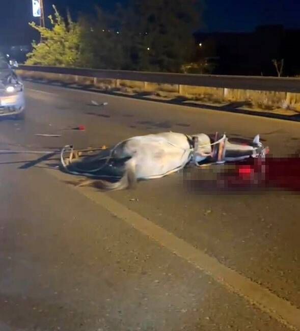 Şanlıurfa’nın Birecik ilçesinde hafif ticari aracın at arabasına çarpması sonucu