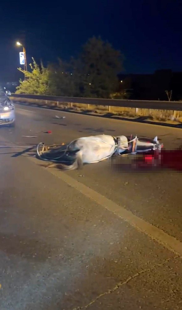 Şanlıurfa’nın Birecik ilçesinde hafif ticari aracın at arabasına çarpması sonucu