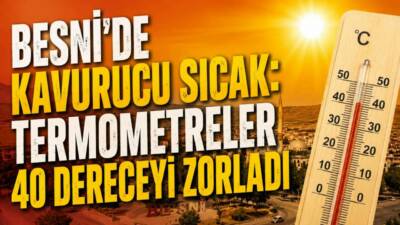 Adıyaman'ın Besni ilçesinde etkisini artıran sıcak hava dalgası yaşamı olumsuz