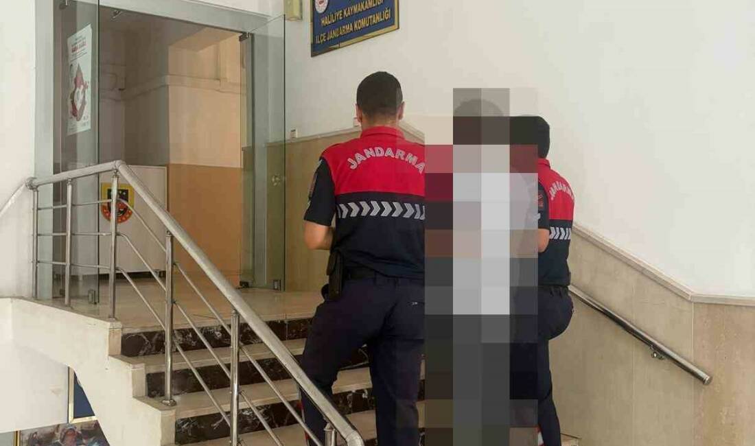 Şanlıurfa’da hırsızlık suçundan aranan şahıs jandarma ekipleri tarafından yakalandı.