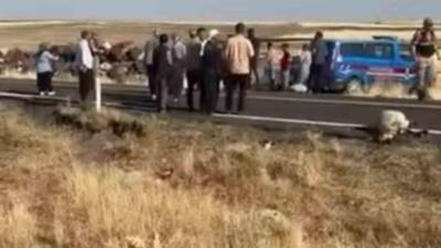 Şanlıurfa’nın Siverek ilçesinde işçileri taşıyan minibüsün koyun sürüsüne çarpması sonucu