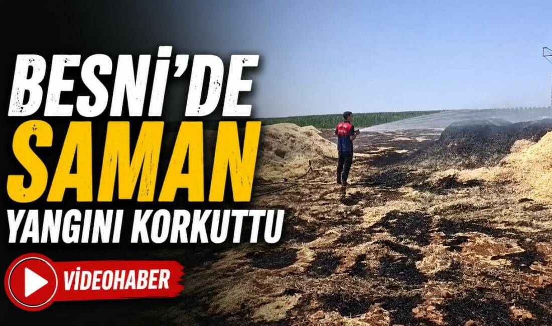 Adıyaman'ın Besni ilçesine bağlı Beşyol Köyü'nde bilinmeyen bir nedenle çıkan