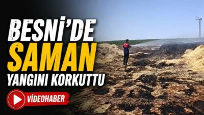 Adıyaman'ın Besni ilçesine bağlı Beşyol Köyü'nde bilinmeyen bir nedenle çıkan