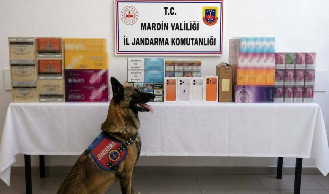Mardin’de düzenlenen kaçakçılık operasyonunda piyasa değeri 2 milyon lira olan