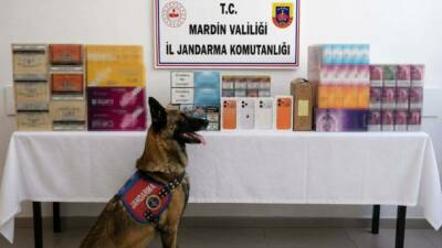 Mardin’de düzenlenen kaçakçılık operasyonunda piyasa değeri 2 milyon lira olan