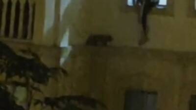 Mardin’in Nusaybin ilçesinde bir evin dış cephesinde mahsur kalan kedi,