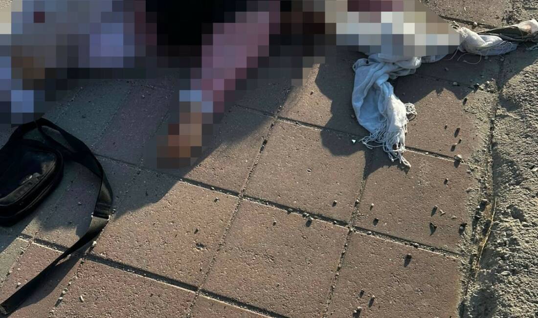 Mardin'in Nusaybin ilçesinde bir tırın çarptığı 69 yaşındaki Sedika Bağlan