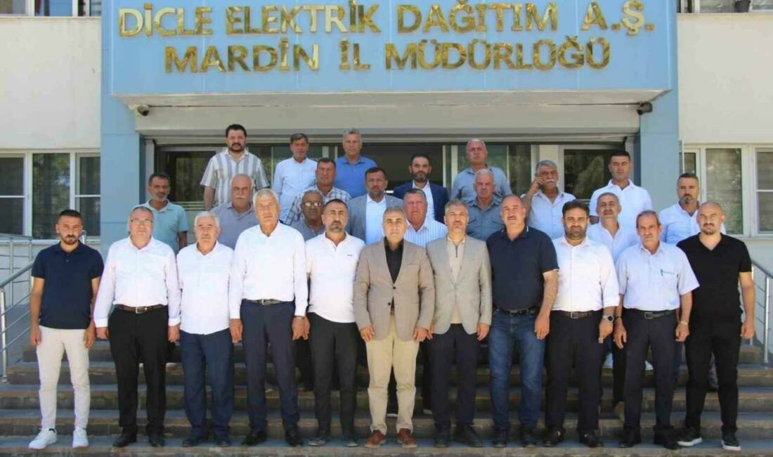 Mardinli muhtarlar Dicle Elektrik’in yatırımlarını memnuniyetle karşıladı Dicle Elektrik’in Artuklu’da çalışmaları başlatılan 256 milyon lirayı aşan altyapı