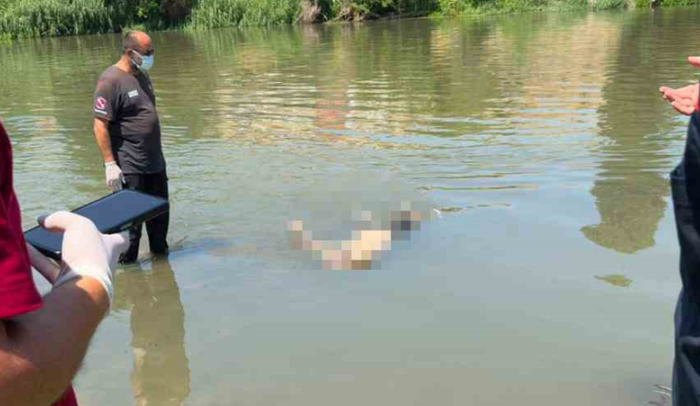 Nehirde bir kişinin cansız bedeni bulundu Diyarbakır’ın merkez Sur ilçesinde Dicle Nehri’nde bir kişinin cansız bedeni
