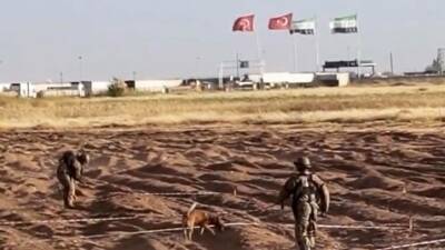 Öncüpınar Sınır Hattı’nda bağlantı yolunun genişletilmesi amacıyla yürütülen mayın temizleme