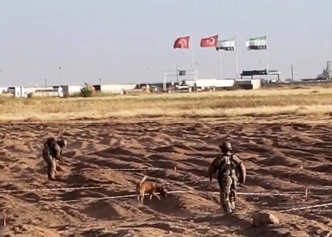 Öncüpınar Sınır Hattı’nda bağlantı yolunun genişletilmesi amacıyla yürütülen mayın temizleme