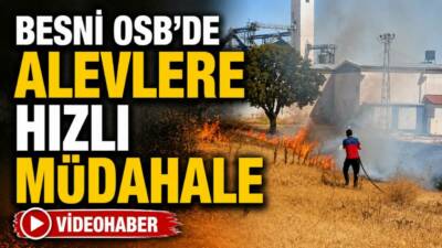 Besni Organize Sanayi Bölgesi’nde bir tekstil fabrikasının bahçesinde çıkan ot