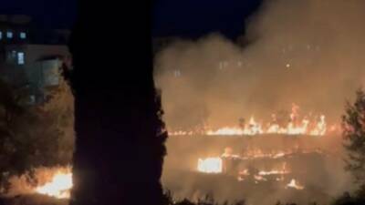 Adıyaman’da otluk alanda çıkan ve bahçeye sıçrayan yangın, itfaiye ekiplerinin