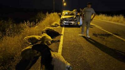 Diyarbakır’ın Çüngüş ilçesinde bir otomobilin çarptığı sürüdeki 10 koyun telef