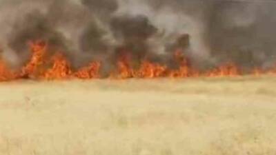 Şanlıurfa’nın Haliliye ilçesinde çıkan yangında yaklaşık 45 dönüm buğday ekili