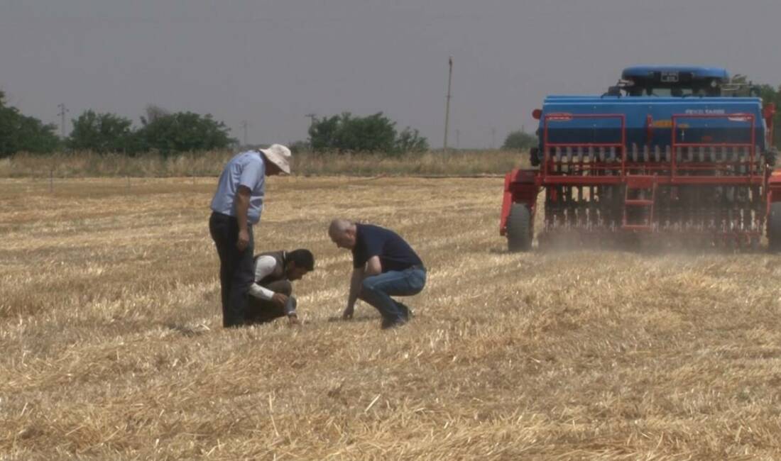 Türkiye’nin en verimli tarım arazilerine sahip Güneydoğu Anadolu Projesi (GAP)