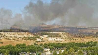 Şanlıurfa’da ormanlık alanda çıkan yangına itfaiye ekipleri müdahale etti.