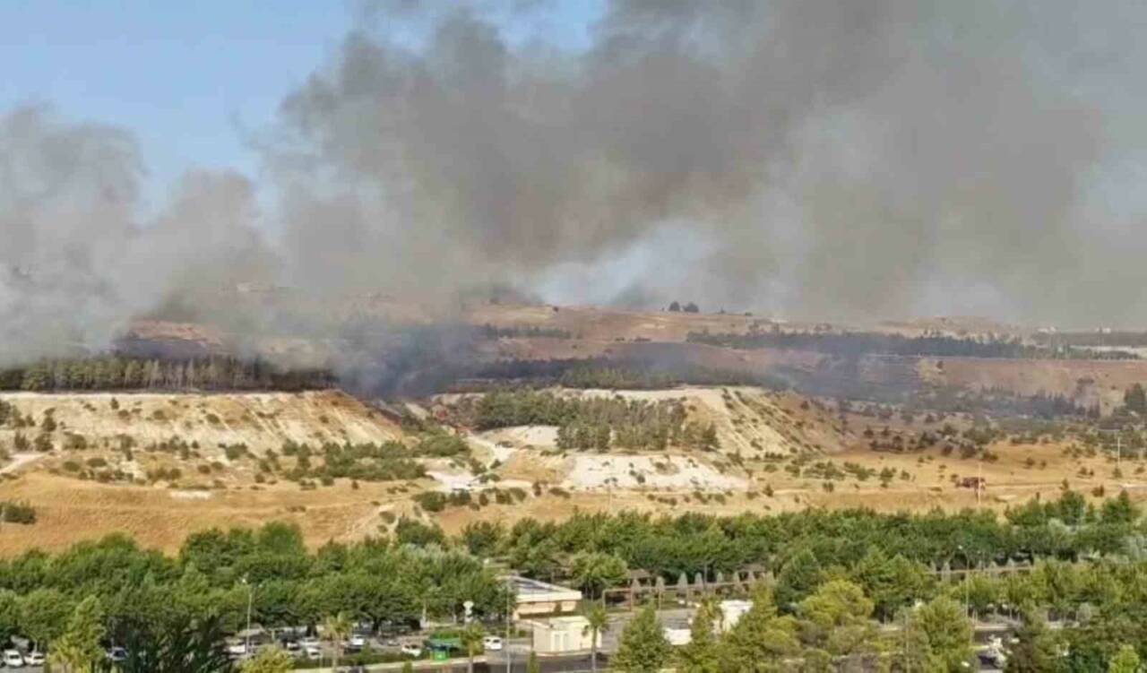 Şanlıurfa’da ormanlık alanda çıkan yangına itfaiye ekipleri müdahale etti.