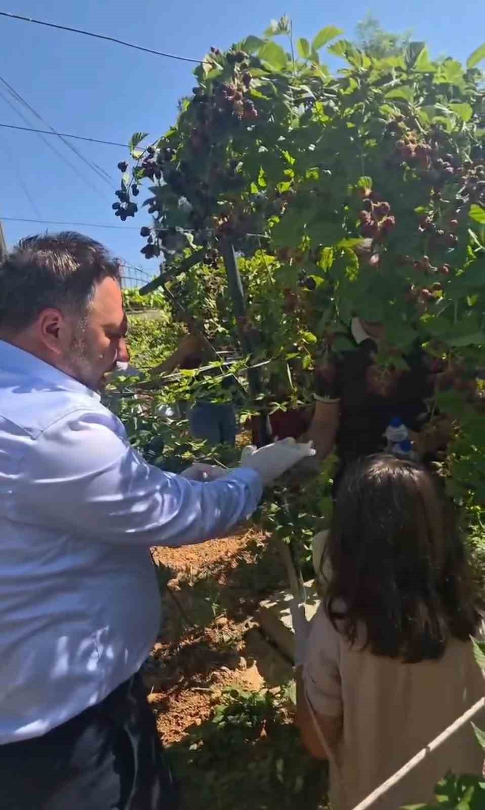 Siirt’te özel bireyler ile koruma ve bakım altındaki çocuklar böğürtlen