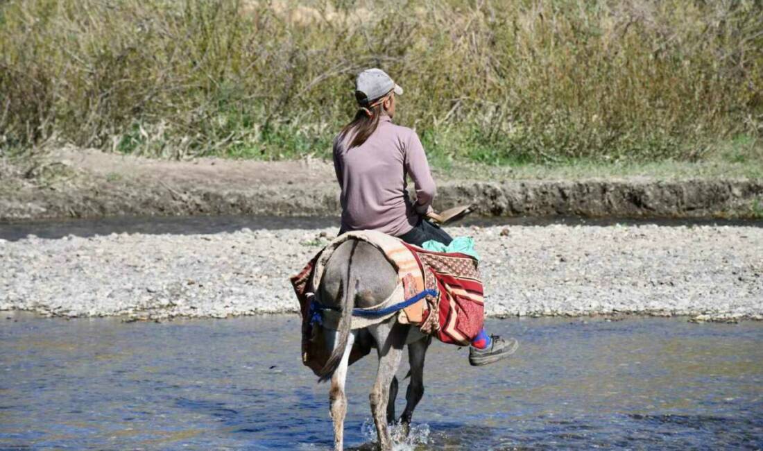 Şırnak yaylaları bu yıl göçer akınına uğradı. Yüksek rakımlı yerleri