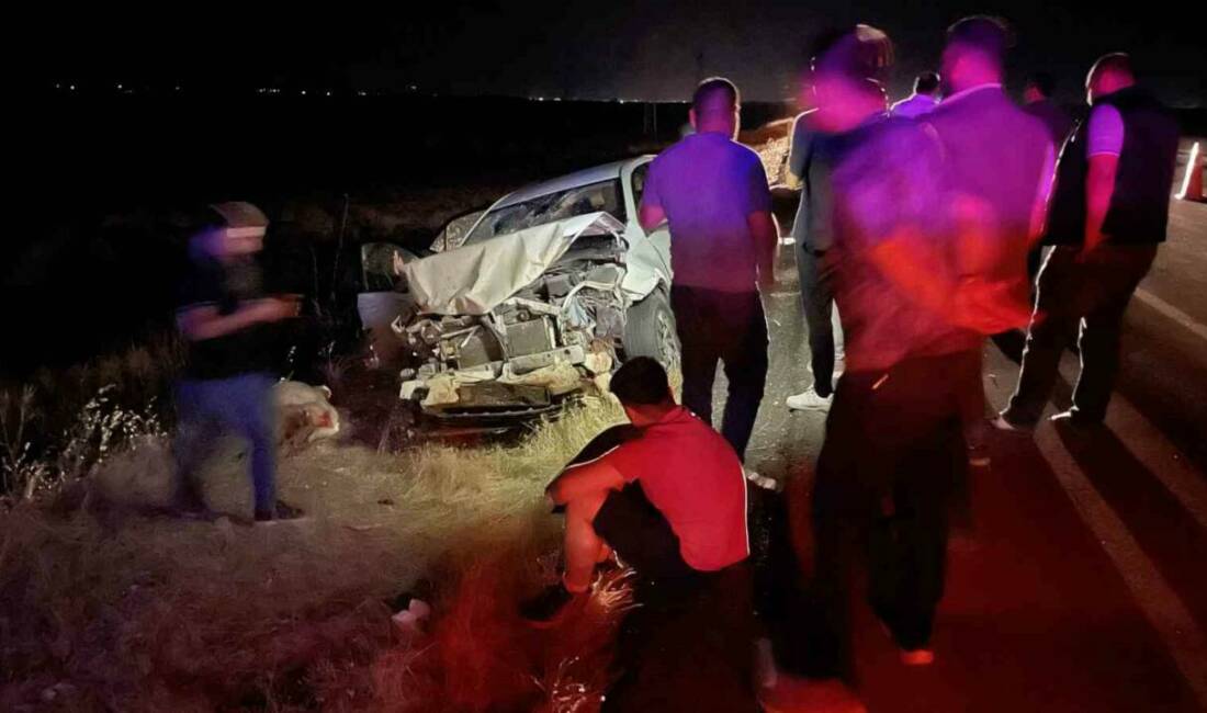 Siverek’te otomobil koyun sürüsüne daldı: 3 kişi yaralandı, 11 koyun telef oldu Şanlıurfa’nın Siverek ilçesinde otomobilin karayolundaki koyun sürüsüne çarpması sonucu meydana