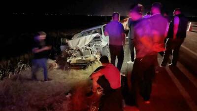 Şanlıurfa’nın Siverek ilçesinde otomobilin karayolundaki koyun sürüsüne çarpması sonucu meydana