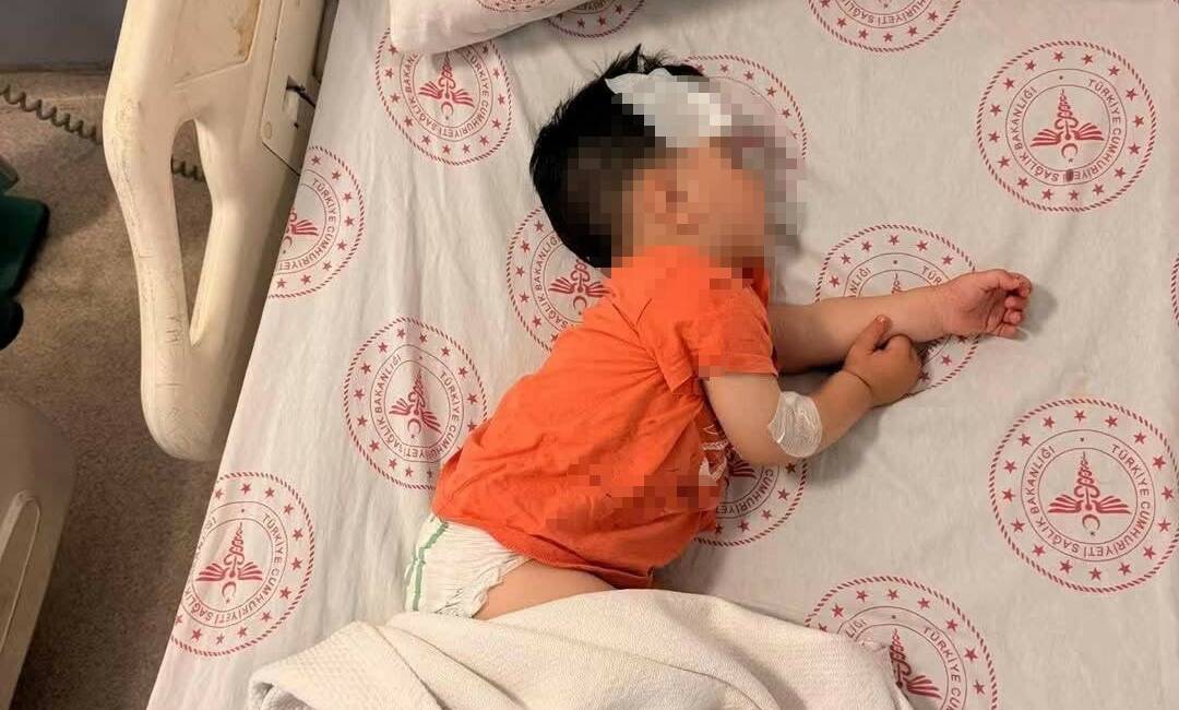 Sokak köpeklerinin saldırdığı 1 buçuk yaşındaki çocuk yaralandı Şanlıurfa’da başıboş sokak köpeklerinin saldırdığı 1 buçuk yaşında çocuk yaralandı.
