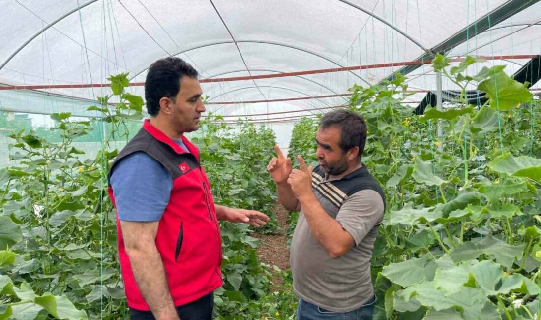 Suruç Ovasının 2016 yılında suya kavuşmasıyla birlikte ürün çeşitliliği arttı.