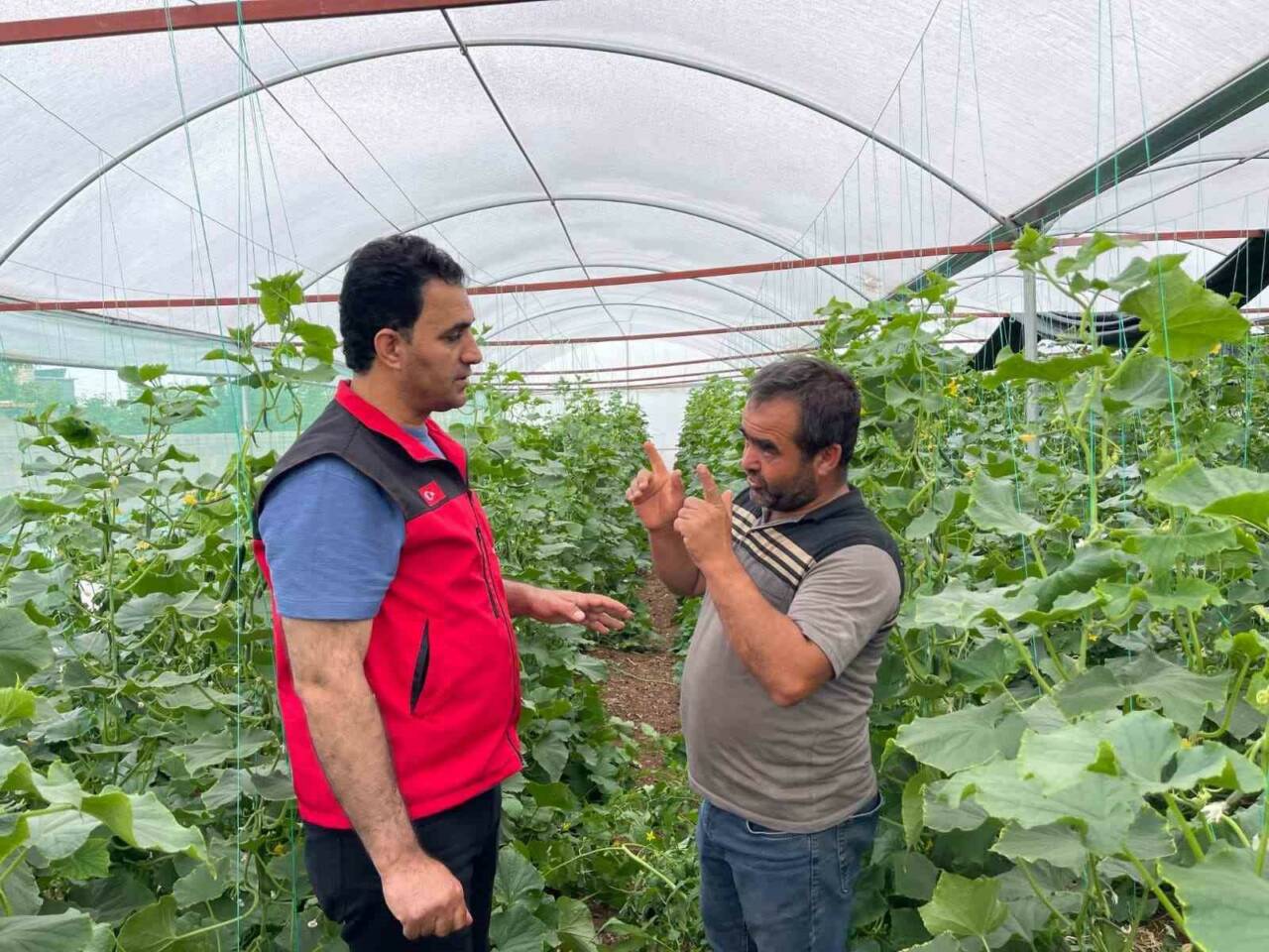 Suruç Ovasının 2016 yılında suya kavuşmasıyla birlikte ürün çeşitliliği arttı.