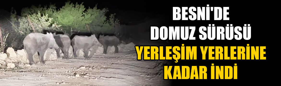 Adıyaman'ın Besni ilçesine bağlı Şahintepesi
