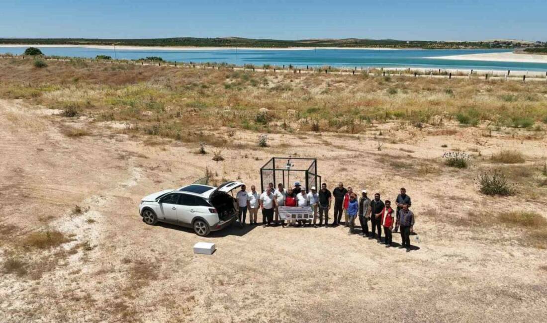 Şanlıurfa’nın Suruç Ovası’nda sulama yönetimini güçlendirecek otomatik meteoroloji istasyonu kuruldu.
